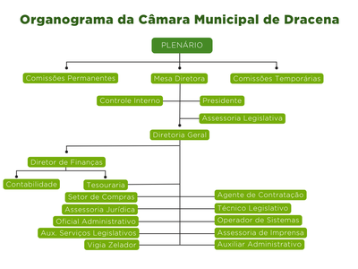 Organograma