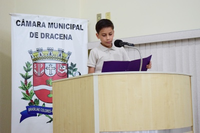 Parlamento Jovem 2025 (30).JPG