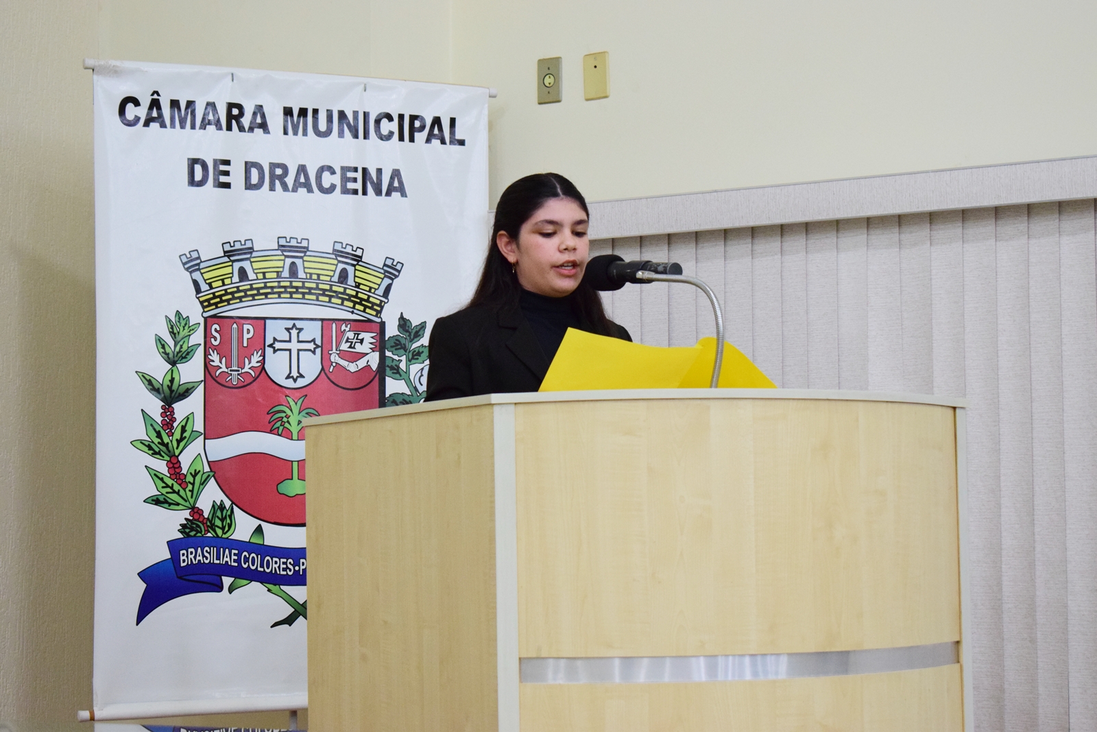 Parlamento Jovem 2025 (43).JPG