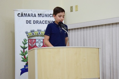Parlamento Jovem 2025 (47).JPG