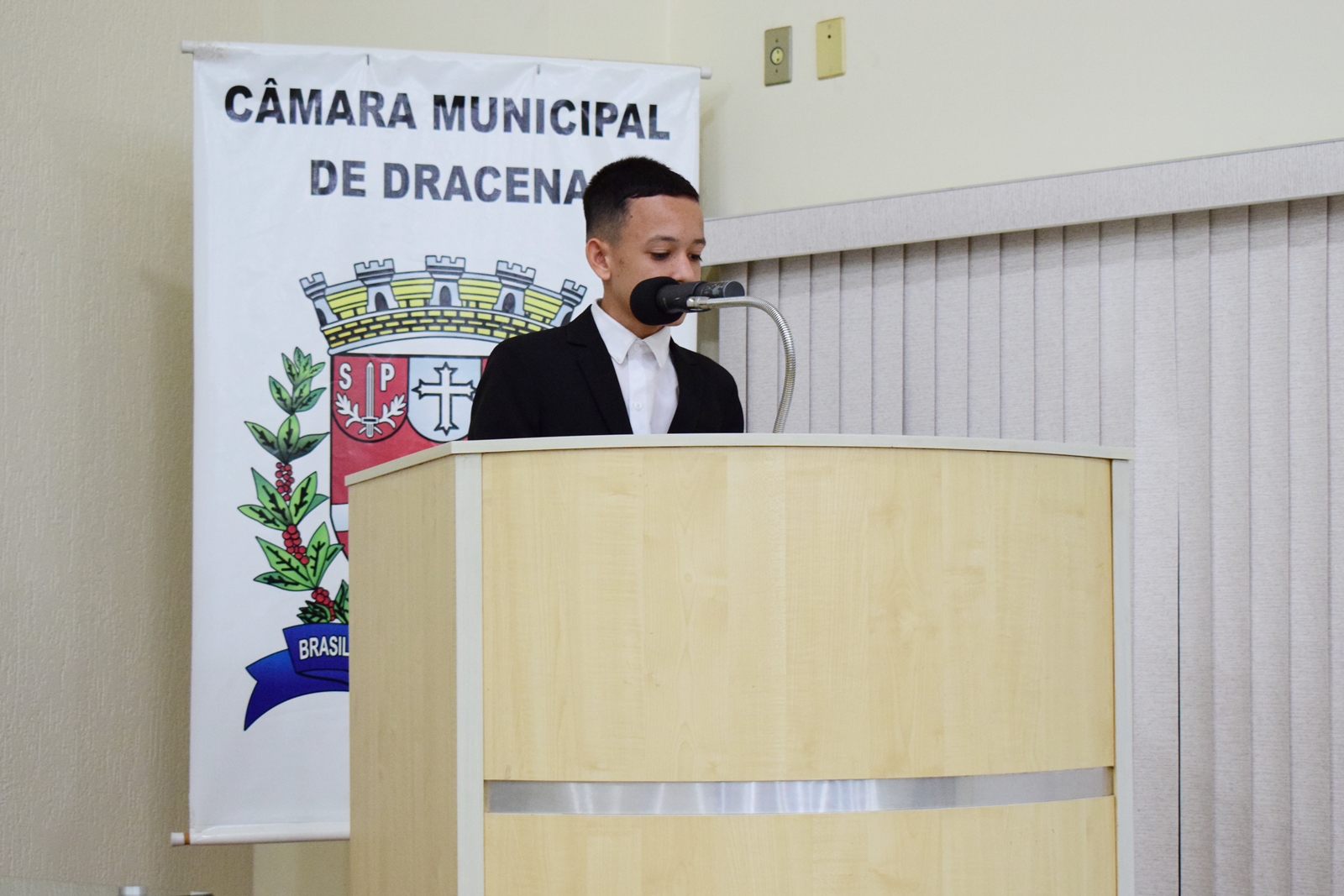 Parlamento Jovem 2025 (48).JPG