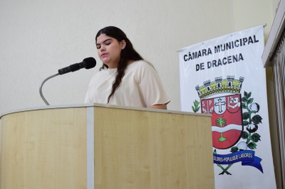 Parlamento Jovem 2025 (53).JPG