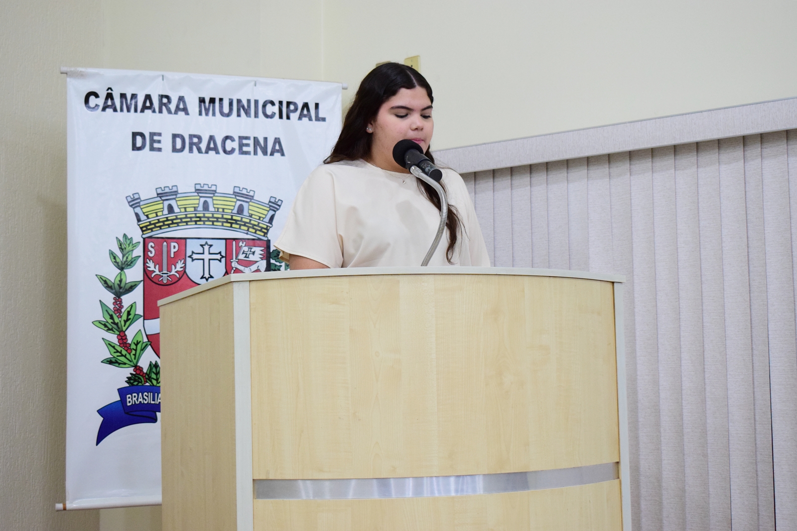 Parlamento Jovem 2025 (54).JPG