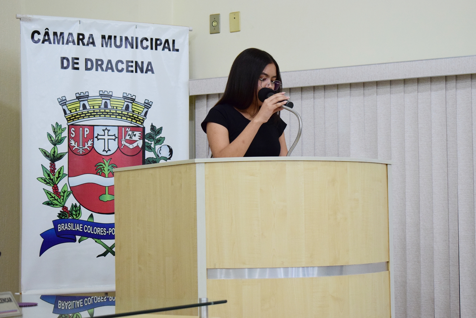 Parlamento Jovem 2025 (57).JPG