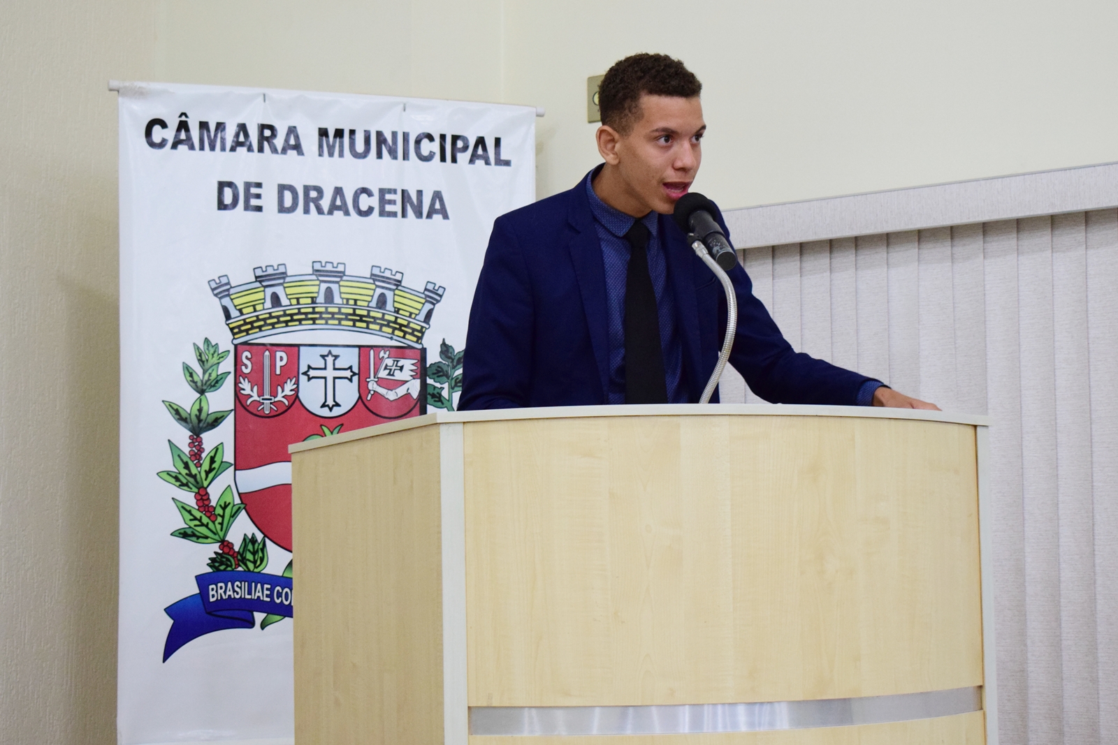 Parlamento Jovem 2025 (63).JPG