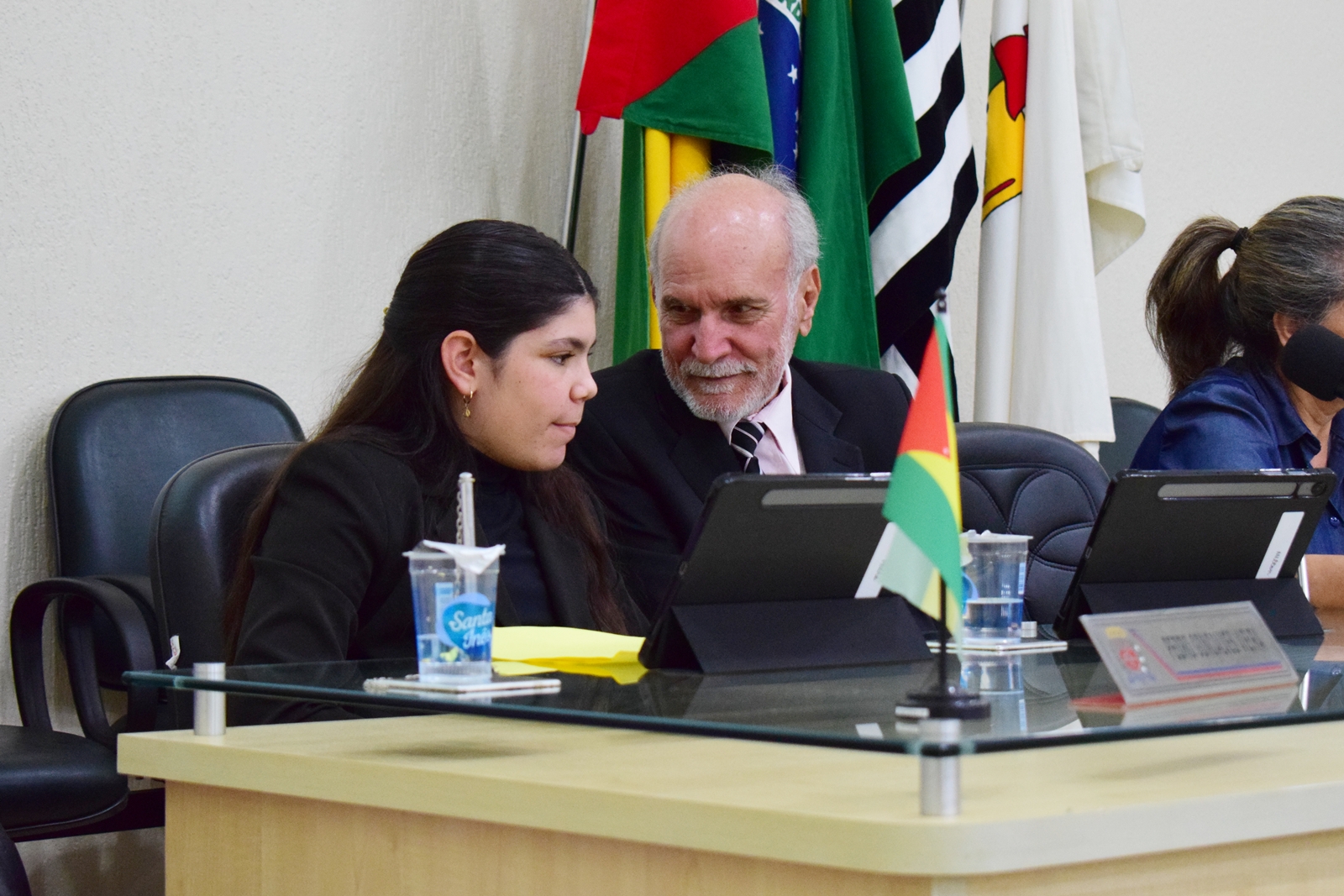 Parlamento Jovem 2025 (68).JPG