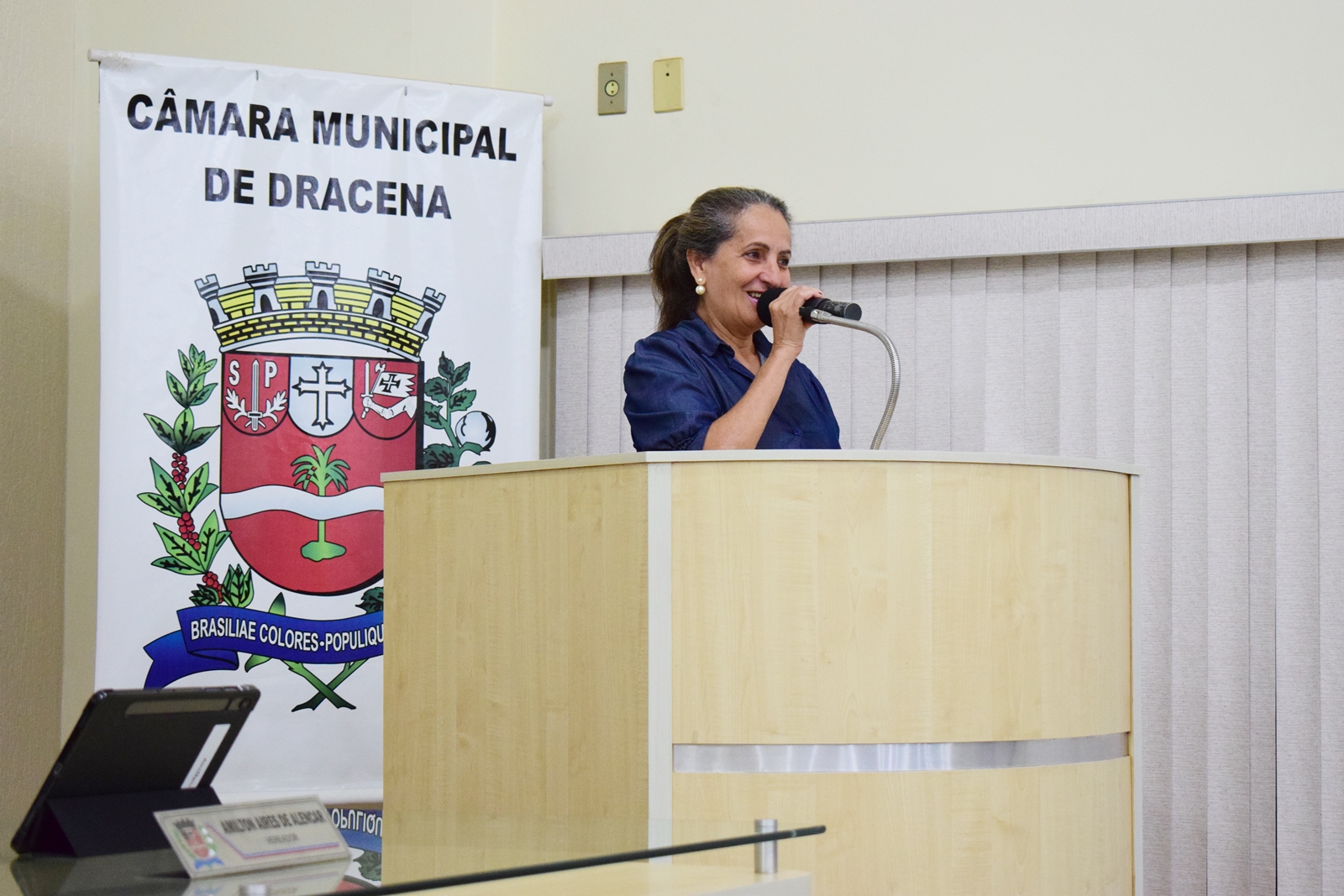 Parlamento Jovem 2025 (79).JPG