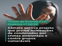 Câmara aprova emenda à Lei Orgânica que proíbe nomeações de condenados por crimes ambientais