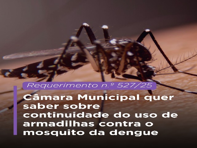 Câmara Municipal de Dracena questiona continuidade do uso de armadilhas contra o mosquito da dengue