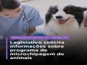 Câmara Municipal de Dracena questiona existência de programa de microchipagem de animais Câmara Municipal de Dracena questiona existência de programa de microchipagem de animais