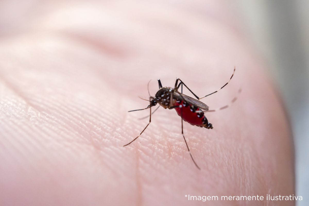 Câmara Municipal de Dracena solicita informações sobre aplicação de “fumacê” em distritos