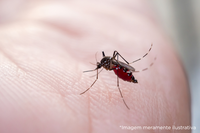 Câmara Municipal de Dracena solicita informações sobre aplicação de “fumacê” em distritos