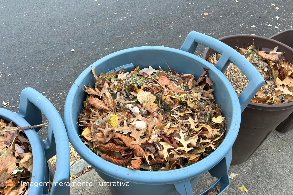 Câmara Municipal de Dracena solicita informações sobre descarte irregular de resíduos vegetais
