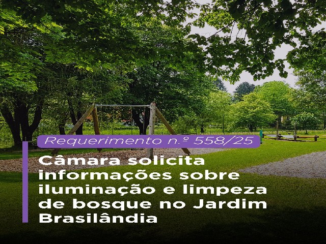 Câmara Municipal de Dracena solicita informações sobre iluminação e limpeza de bosque na Rua Osvaldo Paulino d