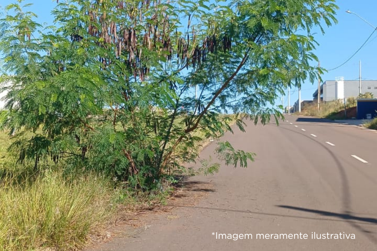 Câmara Municipal de Dracena solicita informações sobre manutenção de bueiros no Distrito Comercial