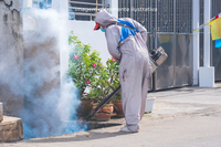 Câmara Municipal de Dracena solicita informações sobre nebulização contra dengue no bairro Florindo Tabachi