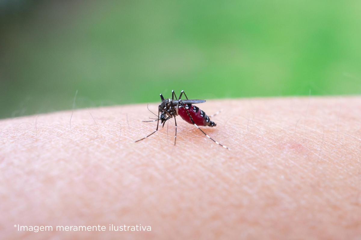 Câmara Municipal de Dracena solicita informações sobre pulverização contra pernilongos e mutirão de limpeza