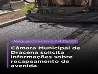 Câmara Municipal de Dracena solicita informações sobre recapeamento de avenida