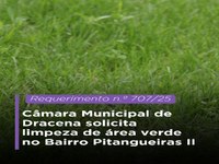 Câmara Municipal de Dracena solicita limpeza de área verde no Bairro Pitangueiras II