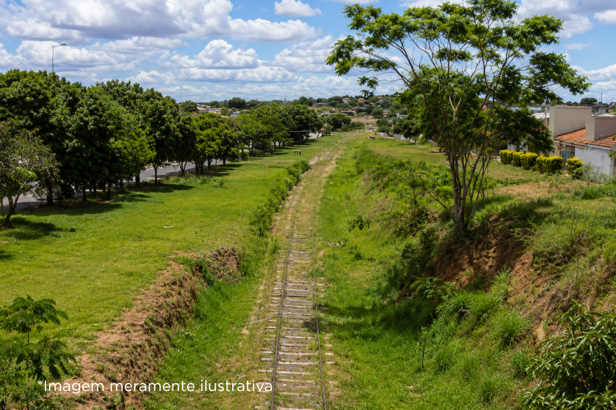 Câmara Municipal de Dracena solicita limpeza e manutenção em áreas próximas à linha férrea