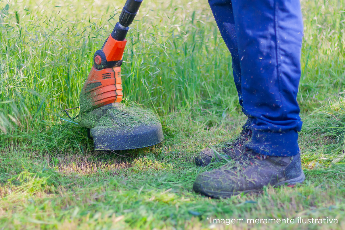 Câmara Municipal de Dracena solicita prazo para limpeza de área verde no final da Rua Ilírio Ortega Marçal