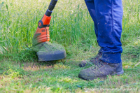 Câmara Municipal de Dracena solicita prazo para limpeza de área verde no final da Rua Ilírio Ortega Marçal