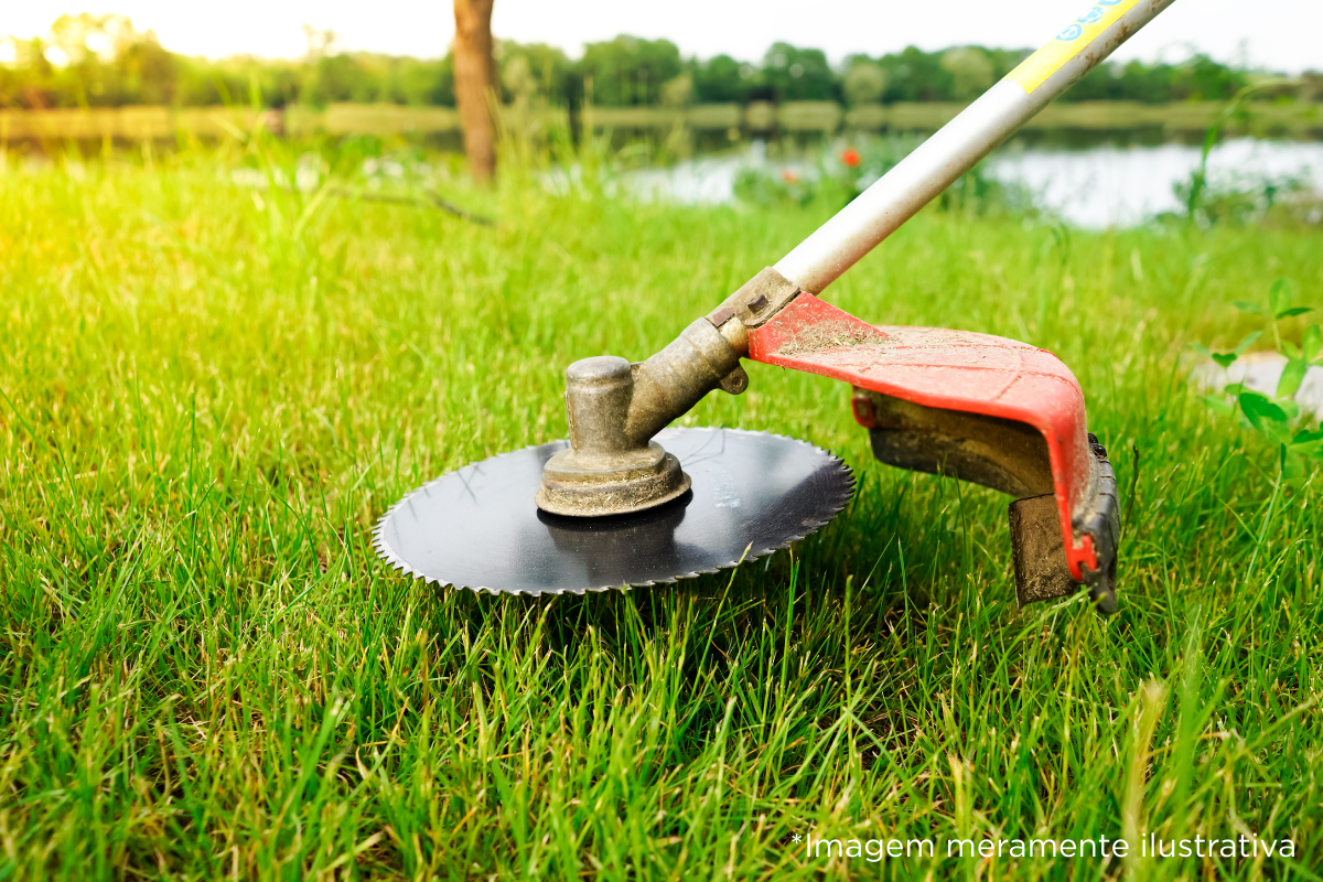 Câmara Municipal de Dracena sugere limpeza nas áreas verdes do Residencial Sol Nascente I e II
