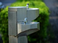 Câmara quer saber se está no cronograma a instalação de um bebedouro  no campo “Raimundão”