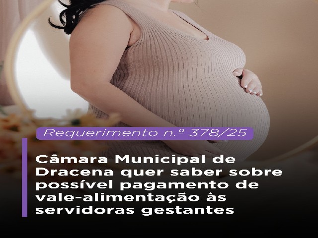 Câmara quer saber sobre possível pagamento de vale-alimentação a servidoras em licença gestante