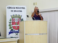 Inclusão de avenida na operação tapa-buracos é solicitada em sessão