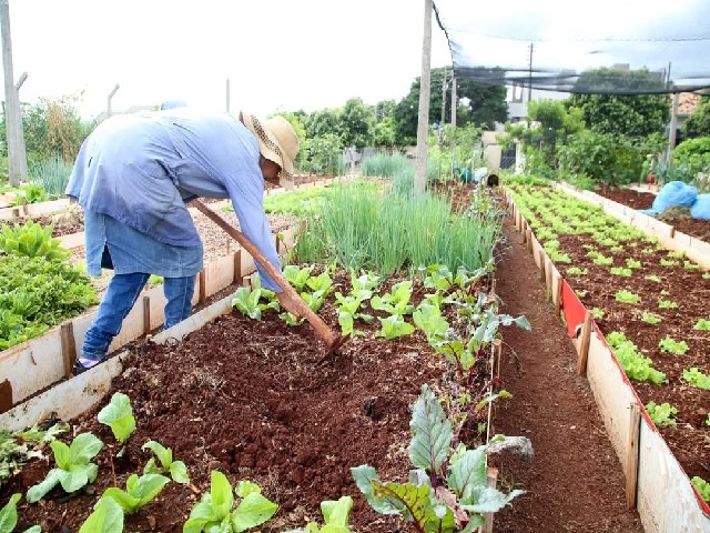 Legislativo de Dracena sugere ao município transformar terrenos da Prefeitura em hortas comunitárias