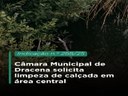 Legislativo dracenense solicita limpeza de calçada no bairro central Legislativo dracenense solicita limpeza de calçada no bairro central