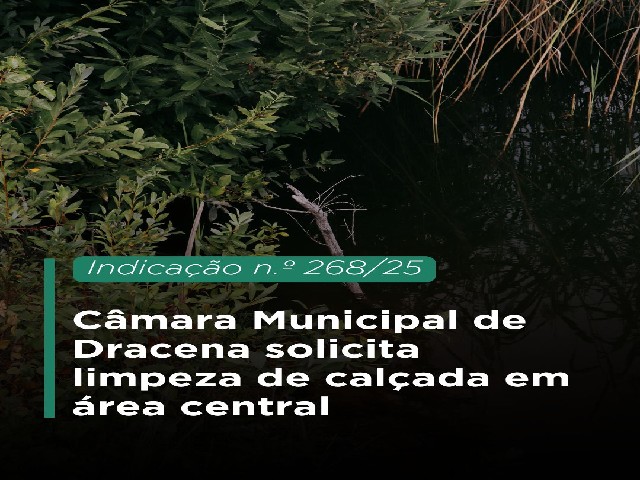 Legislativo dracenense solicita limpeza de calçada no bairro central