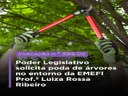 Legislativo dracenense solicita poda de árvores no entorno da EMEFI Prof.ª Luiza Rossa Ribeiro Legislativo dracenense solicita poda de árvores no entorno da EMEFI Prof.ª Luiza Rossa Ribeiro