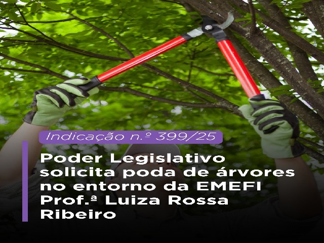 Legislativo dracenense solicita poda de árvores no entorno da EMEFI Prof.ª Luiza Rossa Ribeiro