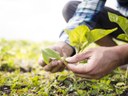 Legislativo dracenense sugere doação de implementos agrícolas à Associação do Assentamento Nova Canaã Legislativo dracenense sugere doação de implementos agrícolas à Associação do Assentamento Nova Canaã