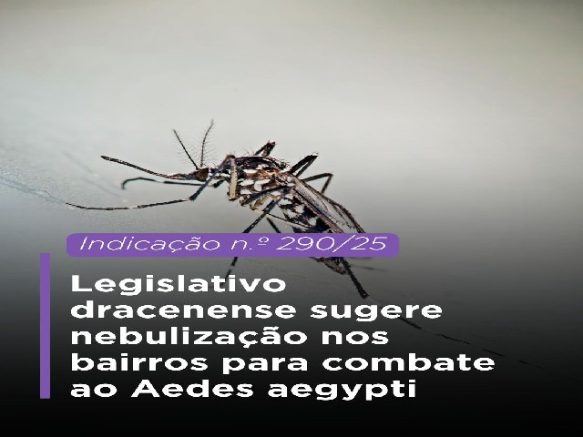 Legislativo dracenense sugere nebulização nos bairros para combate ao Aedes aegypti