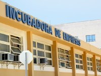 Legislativo sugere que se estude a possibilidade de criar uma incubadora de empregos no município