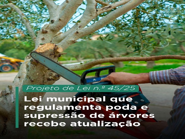 Lei municipal que regulamenta poda e supressão de árvores recebe atualização
