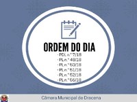 Pauta da próxima sessão da Câmara conta com votação de seis projetos