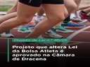 Projeto que altera Lei da Bolsa Atleta é aprovado na Câmara de Dracena Projeto que altera Lei da Bolsa Atleta é aprovado na Câmara de Dracena