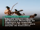 Semana Municipal da Capoeira é instituída por projeto aprovado em segunda votação Semana Municipal da Capoeira é instituída por projeto aprovado em segunda votação
