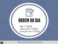 Três matérias passam por votação após retorno das sessões ordinárias da Câmara de Dracena